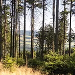Гостевой дом Selska Anetka Horsovsky Tyn