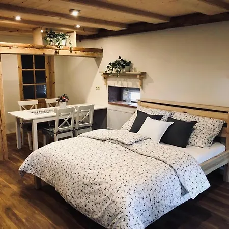 بيت ضيافة Selska Anetka 3*