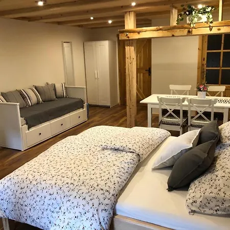 بيت ضيافة Selska Anetka 3*