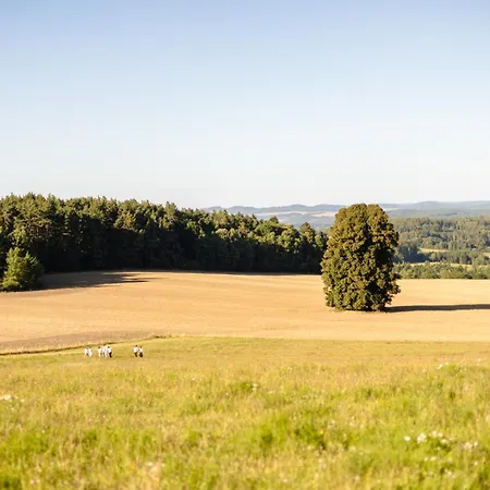 Selska Anetka 3* Horšovský Týn