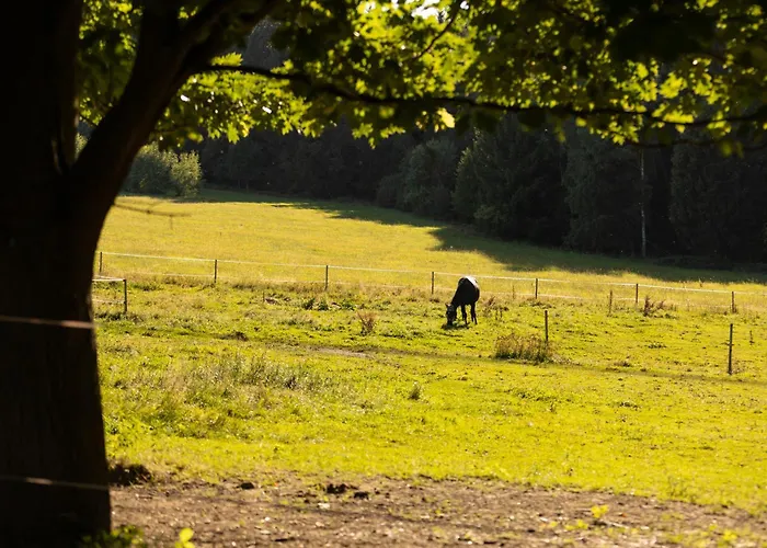 Selská Anetka Vendégház